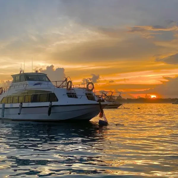 Axe Stone Fast Cruise (08.00-08.45)